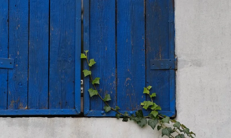 Mijn schoonmoeder wil een nieuw leven, maar ik laat haar niet gaan: Het verhaal van een schoonzoon uit Utrecht