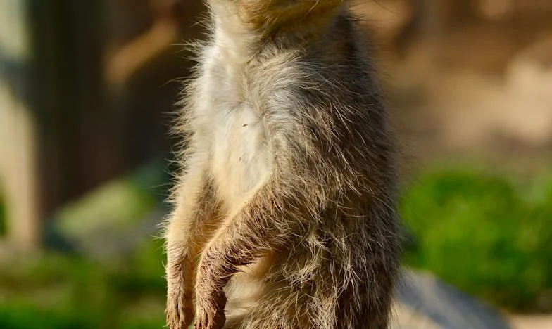 Oma Dwingt Me Mijn Appartement te Delen met Mijn Broer – Een Onverwachte Samensmelting van Levens