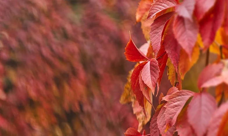 Onderhuids: Mijn strijd om de waarheid over mijn vaderschap