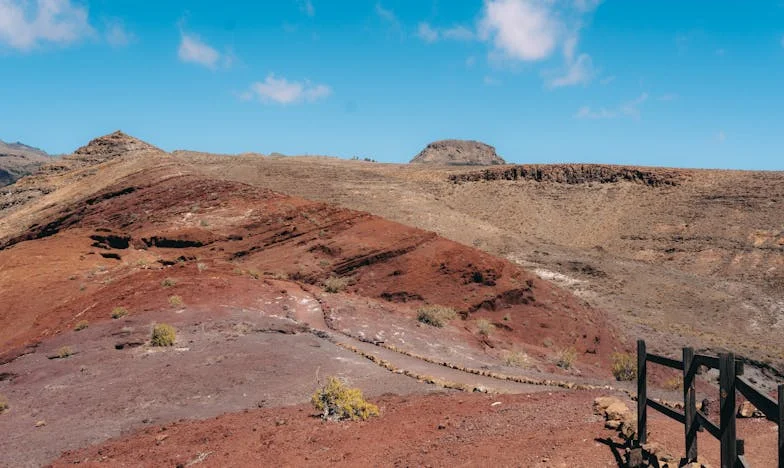 Te dichtbij: De prijs van familie willen zijn