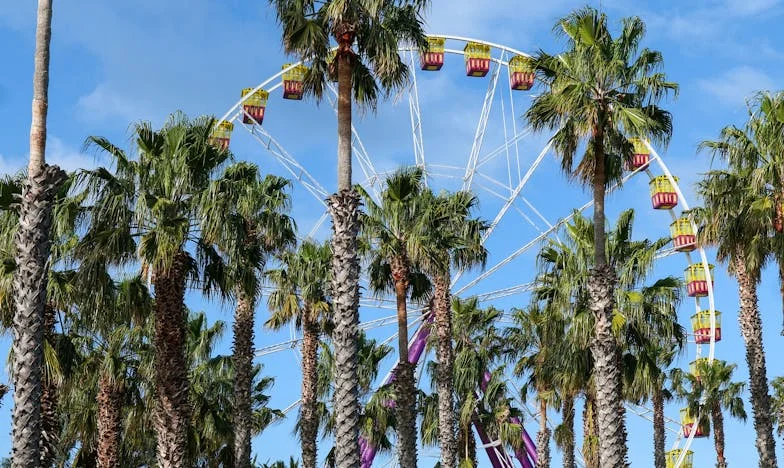 Terugkeer naar het Verleden: Een Onverwachte Ontmoeting in het Park