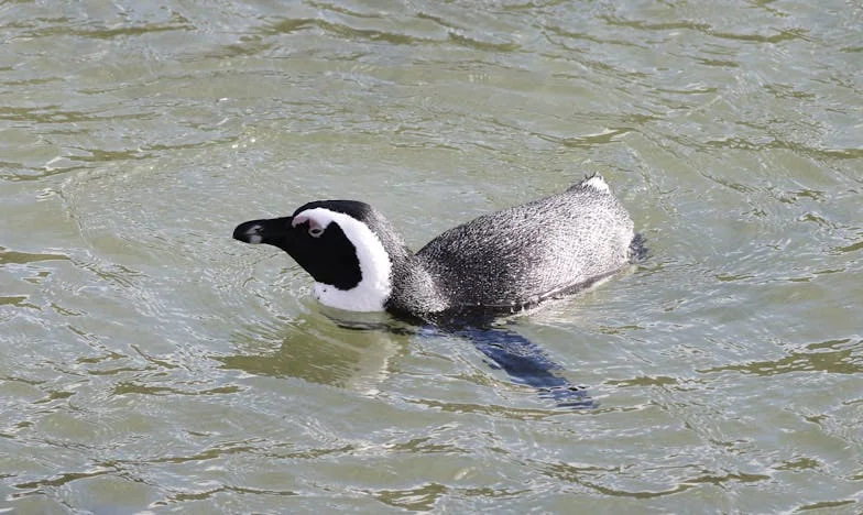 Tussen Moeders Tranen en Mijn Eigen Pad: De Prijs van Vrijheid
