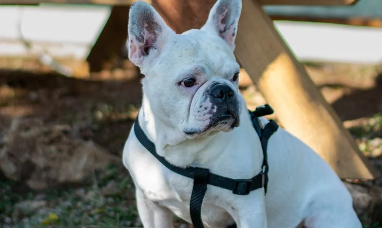 Wanneer buren familie worden... en dan vreemden