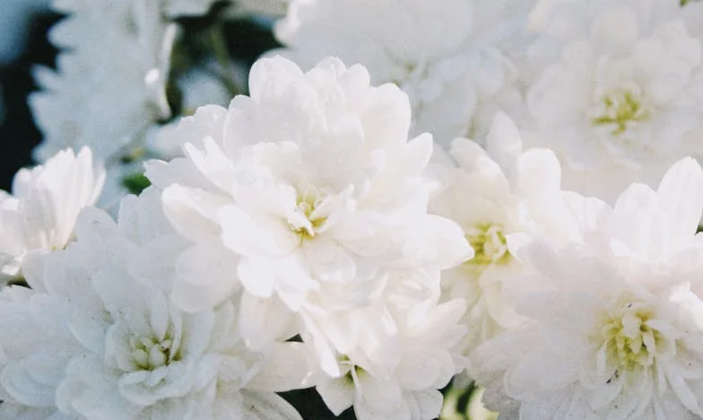 Wanneer je eigen kind je zonder thuis achterlaat: Het verhaal van een moeder