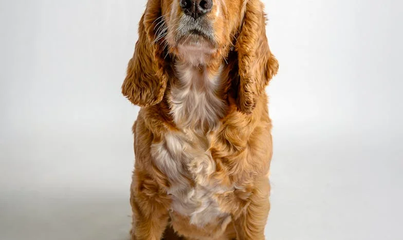 Wanneer je schoonmoeder je weekend overneemt: Een verhaal over familie, grenzen en jezelf vinden