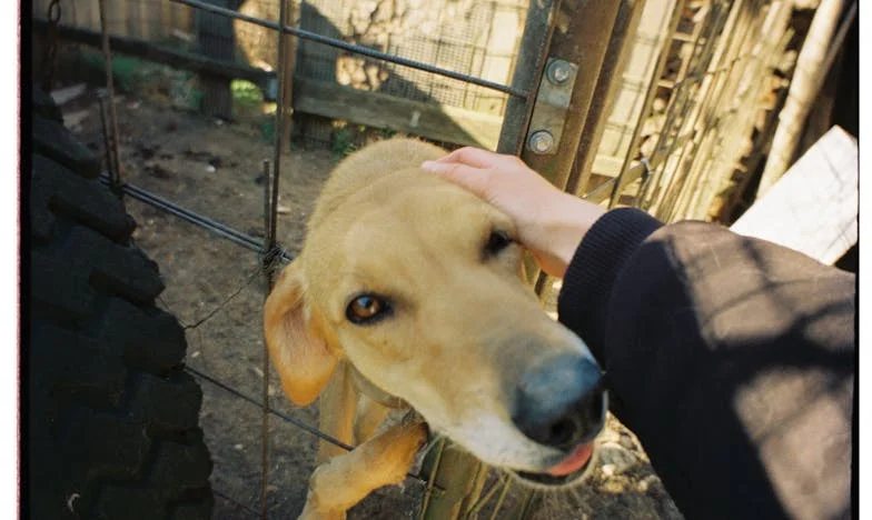Wanneer liefde verdwijnt: Mijn leven na 27 jaar huwelijk en verraad