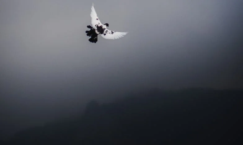 Wanneer thuis geen thuis meer is: Het verhaal van een moeder uit Rotterdam