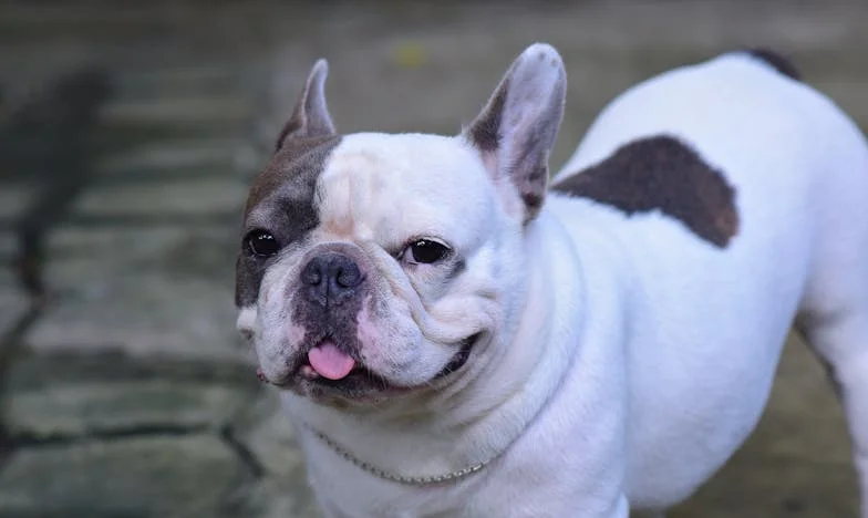 Wanneer Ziekte Ongewenste Bezoeken Brengt: Een Dochters Dilemma