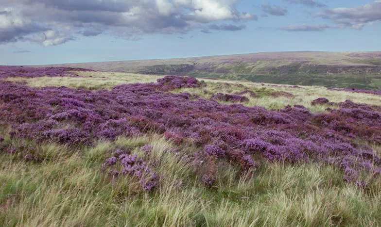 Alleenstaande vader in Amersfoort: Mijn strijd voor mijn kinderen