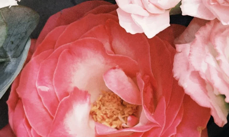 De nacht waarin ik Sophie verloor en terugvond: Angst, hoop en familiegeheimen