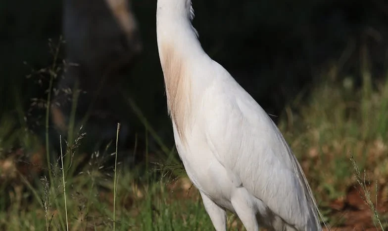 De Onzichtbare Scheidslijn: Mijn Strijd met Mijn Schoonmoeder