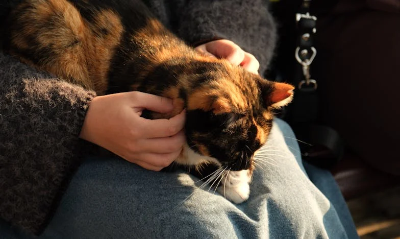 Een Scheur in het Vertrouwen: Liefde en Twijfel na Veertig Jaar