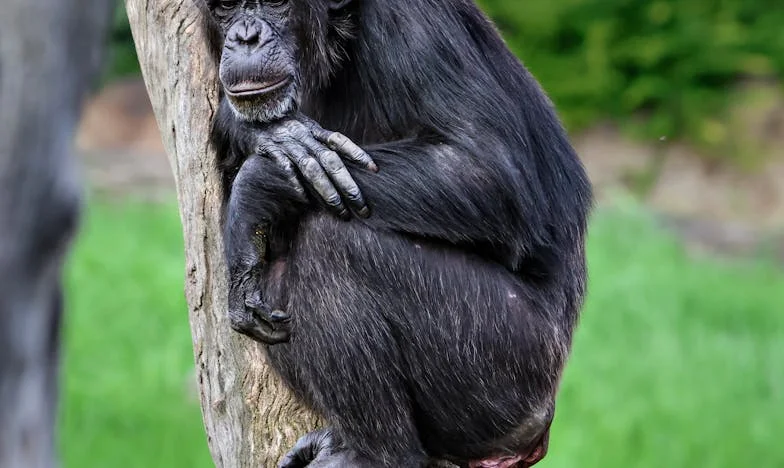 Het Onverwachte Testament: Hoe Eén Erfenis Mijn Familie Verscheurde