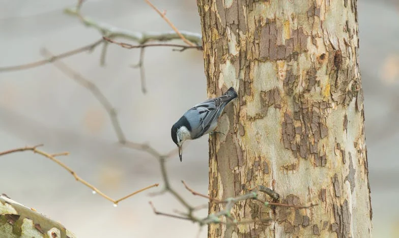 Ik ben geen gratis hulpje: het moment waarop ik mijn grenzen stelde