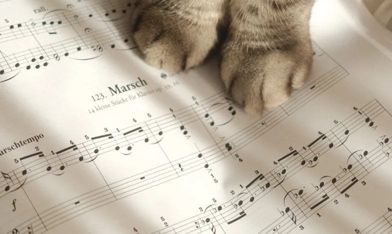 “Je liegt, Mark. Ik heb het gezien.” – Een verhaal over verraad en familiegeheimen in Rotterdam