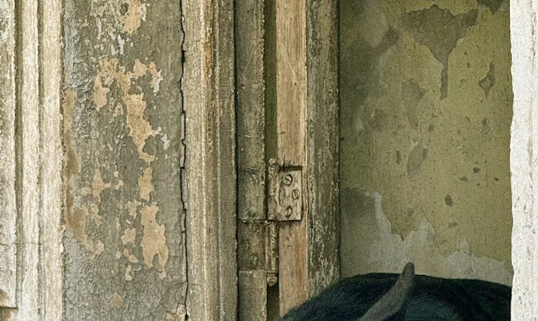 “Mam, ik wil liever niet dat je op mijn bruiloft komt” – Hoe mijn moederhart brak