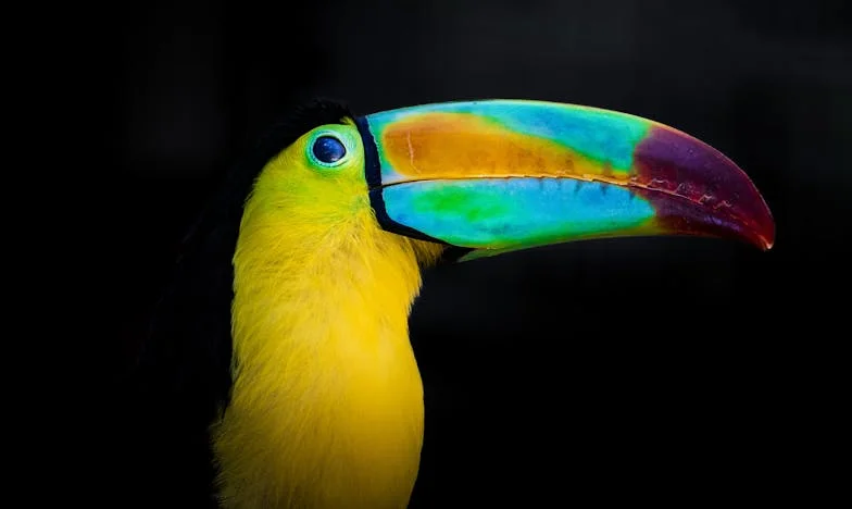 Mijn schoonmoeder eist dat ik weer het kerstdiner organiseer – maar dit keer zei ik NEE. Dit is waarom…