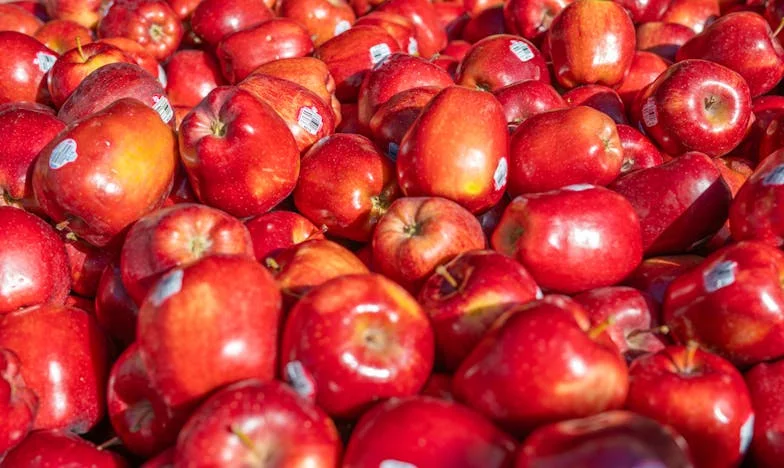 Onder het Masker van Liefde: Mijn Gevecht tussen Familie, Verraad en Eigen Geluk
