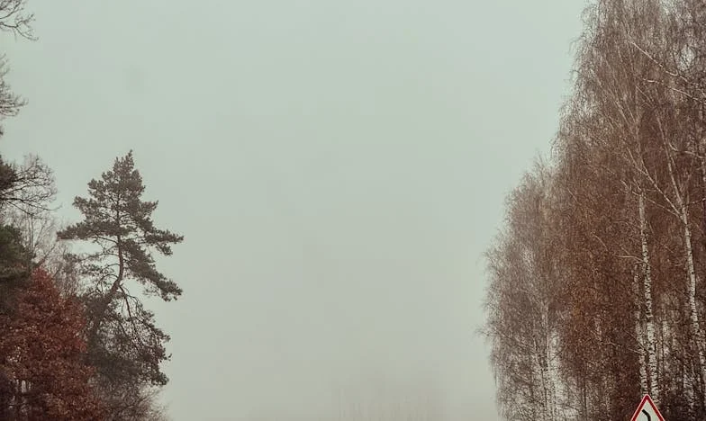 Tussen vier muren: Mijn vlucht uit een huis dat geen thuis meer was
