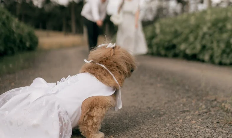 Verloren Liefde aan de Amstel: Mijn Les over Respect en Grenzen
