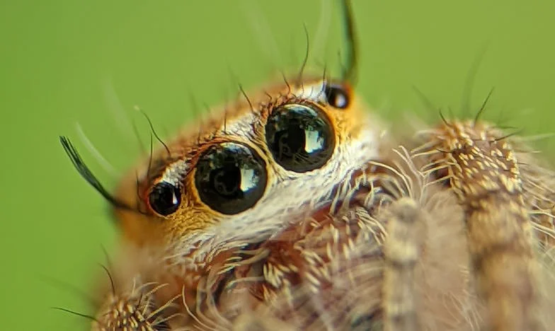 Wanneer familie een last wordt: Mijn strijd om grenzen, geld en mijn eigen leven