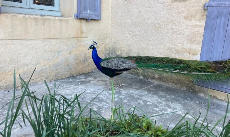 Wanneer Liefde in Cijfers Wordt Uitgedrukt: Het Leven van een Moeder tussen Plicht en Teleurstelling