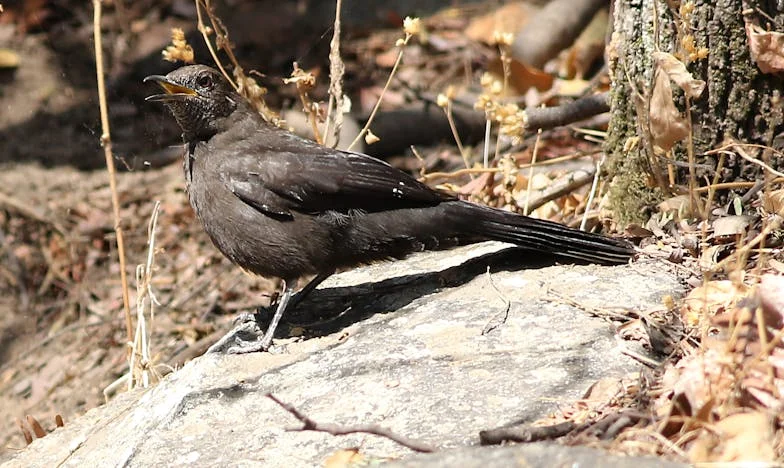 Zestig jaar en opnieuw verliefd: Een tweede kans op geluk