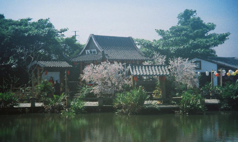 De kist in de kelder: Opa's geheim dat mijn wereld op z'n kop zette