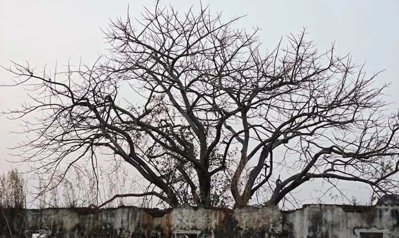 De schaduw van haar verleden: Een onverwachte ontmoeting in Rotterdam