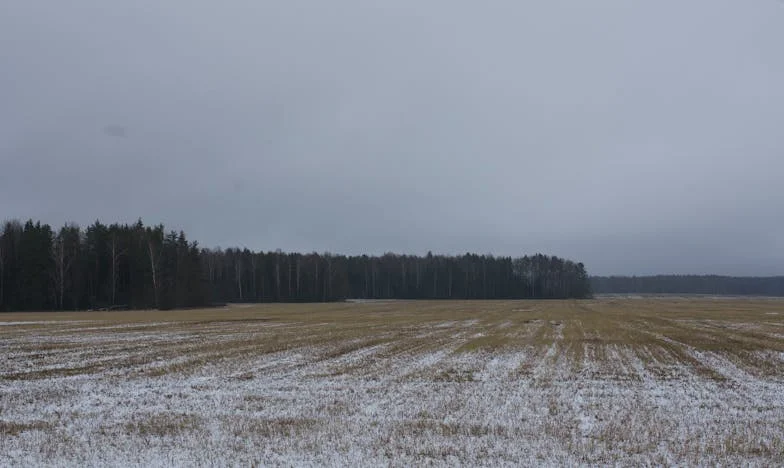 De schoonvader die ons huis overneemt – Hoeveel kan een gezin verdragen?
