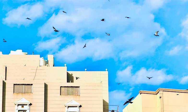 De Zomer Waarin Mijn Zoon Mij Liet Vallen