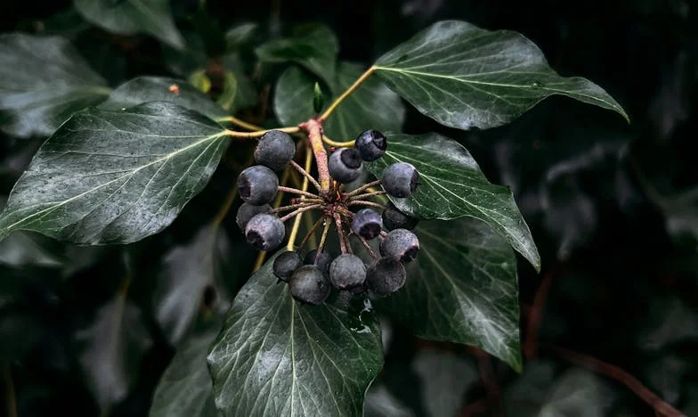Het zwijgen tussen ons: Hoe geld onze liefde veranderde