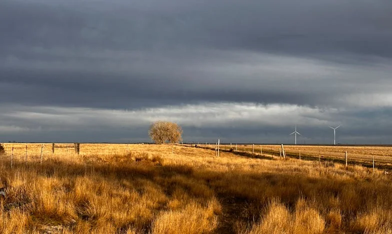 “Ik heb ruimte nodig, mam!” – Hoe ik een thuis opbouwde dat ik nooit had
