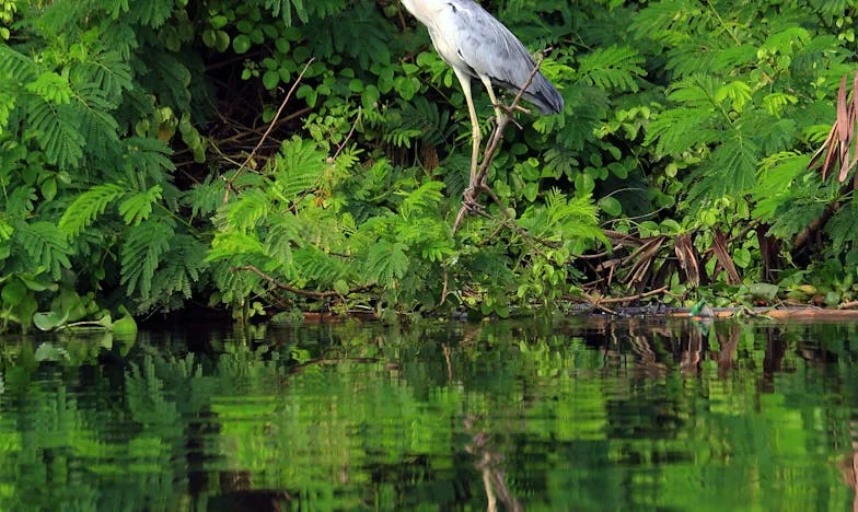 “Ik kom niet meer terug!” – Een ochtend waarop alles veranderde