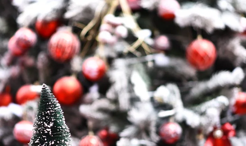 “Je bent niet cool genoeg, oma!” – Het gebroken hart van een grootmoeder