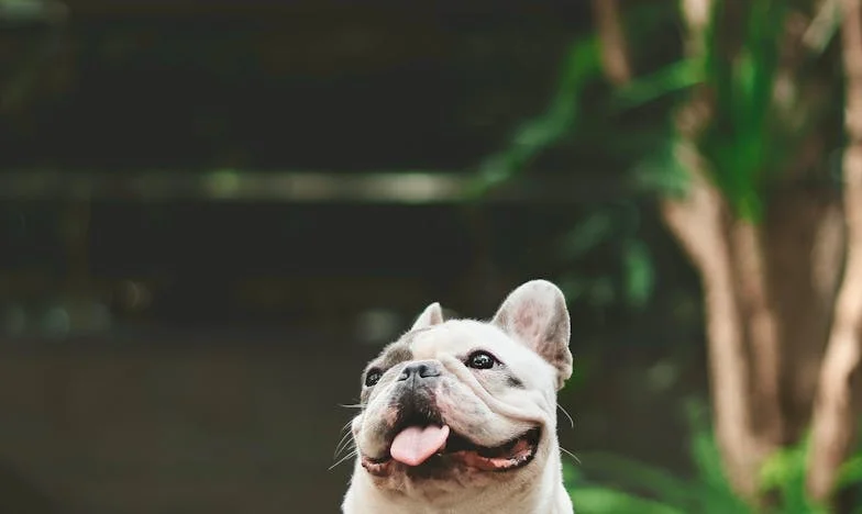 “Mam, je hebt een plek gemist,” riep mijn schoondochter vanuit de slaapkamer. Mijn handen trilden terwijl ik de vloer boende.