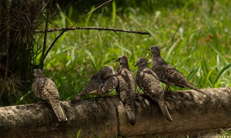 Mijn huis, hun regels: Hoe ik mijn plek verloor in mijn eigen leven