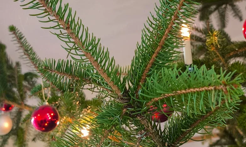 Mijn man koos zijn moeder boven mij: Een Nederlands familiedrama op Schiphol