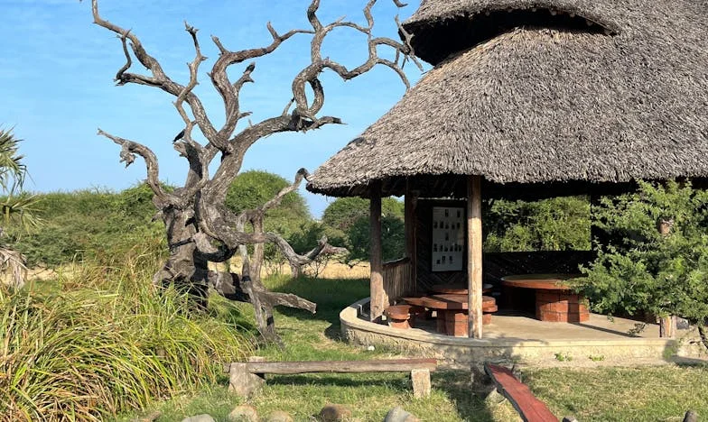 Mijn schoonmoeder bepaalt de regels – het verhaal van Eline