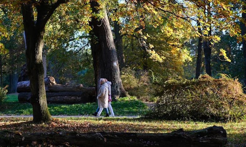 Onder de Schaduw van de Domtoren: Mijn Terugkeer uit de Duisternis