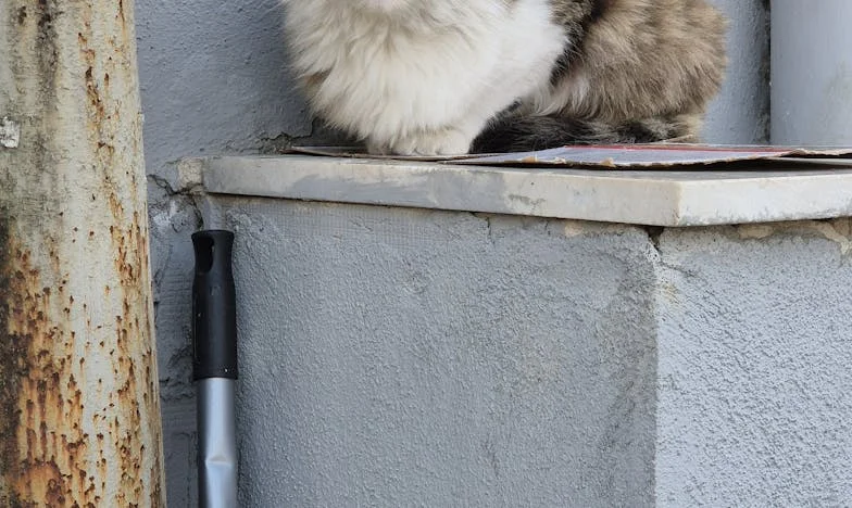 Portemonnee van mijn man, mijn gevangenismuur: Mijn strijd om vrijheid in een ijskoud huwelijk