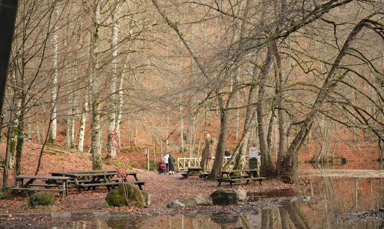 Te Stilte Die Blijft: Het Verhaal van Marieke