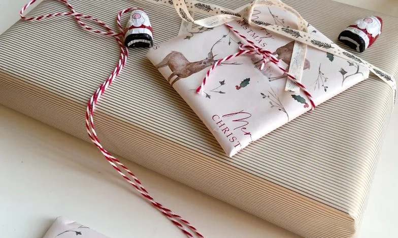 Toen mijn schoonmoeder bij ons introk – Een familieoorlog in de polder