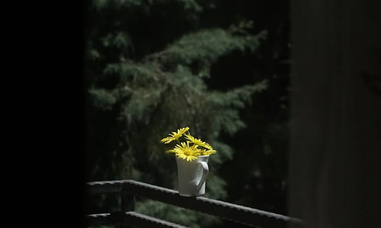 Tussen Twee Huizen: Het Verhaal van een Verloren Dochter en een Familie op het Kruispunt