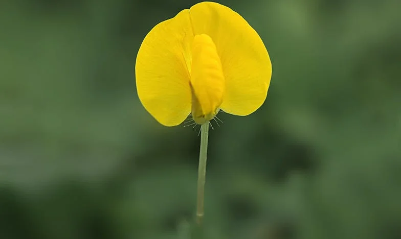 Wanneer je dochter plotseling moeder wordt: een verhaal over liefde, twijfel en grenzen