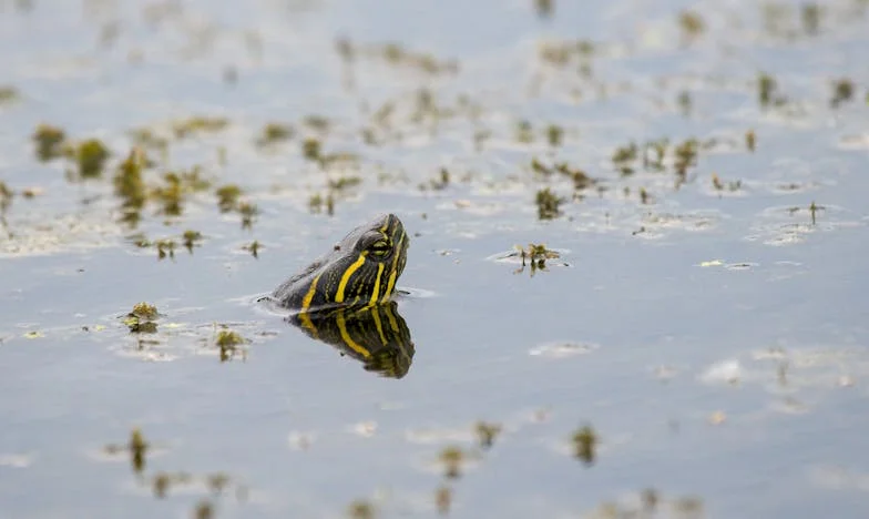 Drie Maanden Stilte: Hoe Mijn Schoonmoeder Onze Familie Bijna Brak