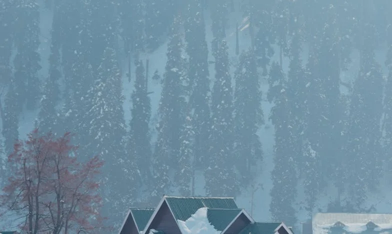 Een Onverwachte Gast: Hoe Eén Bezoek Mijn Gezin Op Zijn Kop Zette