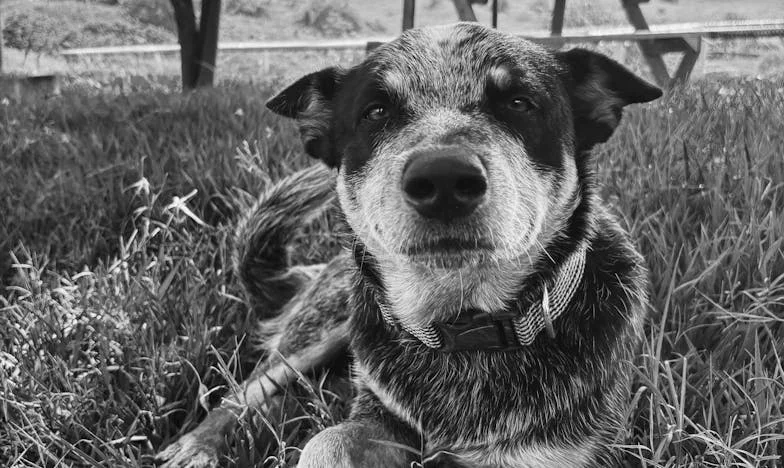 Een uitnodiging die alles veranderde: Mijn verhaal over verraad, verlies en vergeving