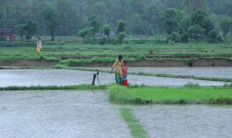 Op mijn 68ste alleen: Mijn smeekbede aan mijn kinderen en het pijnlijke zwijgen