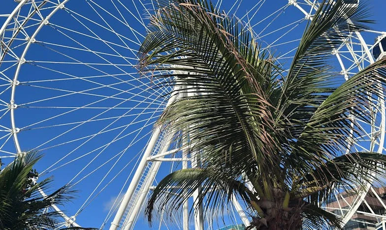 ‘Pak je koffers en kom NU!’ – Hoe mijn schoonmoeder ons leven overnam en ik mezelf bijna verloor